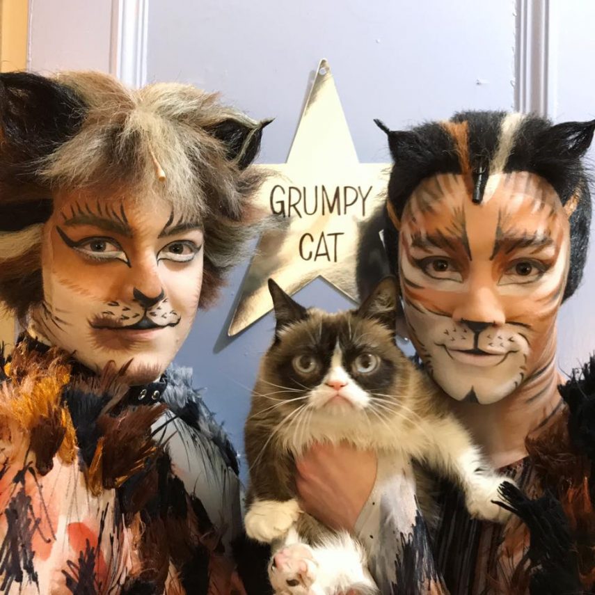 Elenco do musical 'Cats' 'tietando' Grumpy