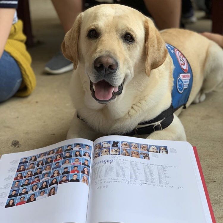 Cães ganham página em anuário escolar