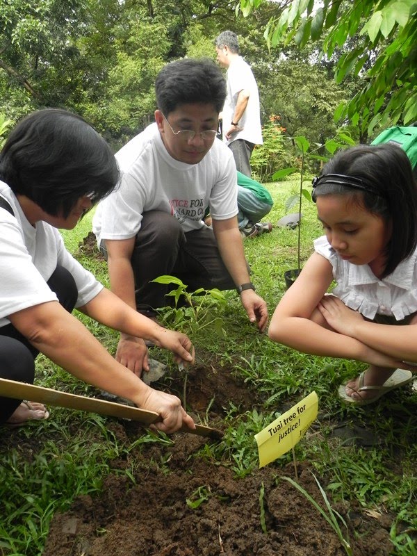 Filipinos devem plantar árvores para se formar