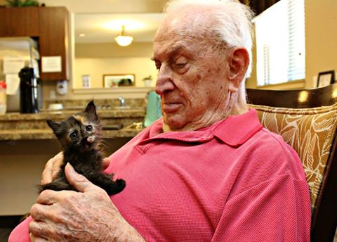 Idosos de Catalina Springs cuidam de gatinhos do Pima County Animal Care Center em iniciativa voluntária para o bem dos dois centros.