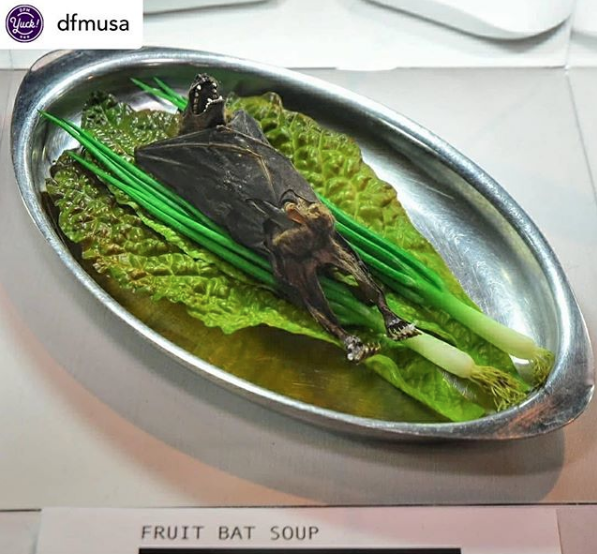 Sopa de frutas com morcego