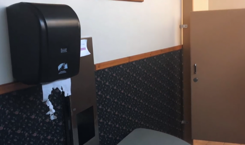 Um filhote de urso-negro invadiu o banheiro de um hotel nos EUA e aproveitou para tirar uma soneca pesada