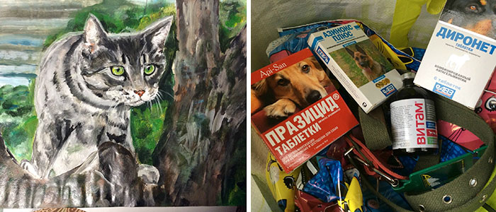Menino troca pinturas por doações a animais de abrigo