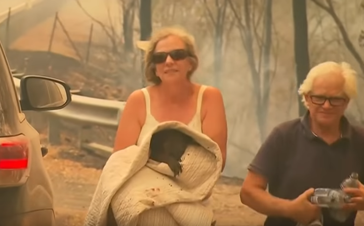  Toni Doherty arriscou a própria vida para salvar um coala de 14 anos em um incêndio florestal em Port Macquarie, na Austrália