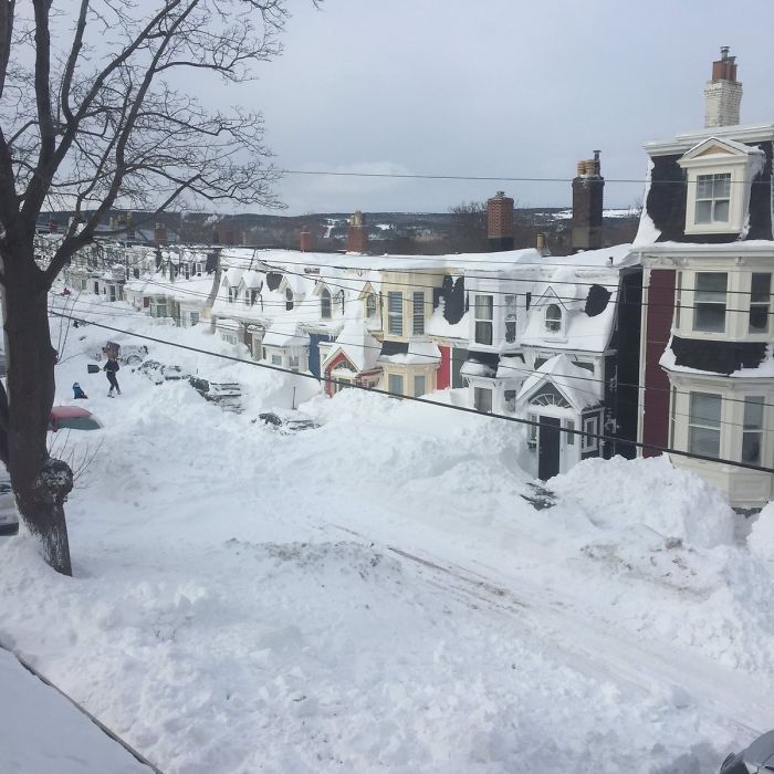 Imagens de cidade coberta de neve no Canadá impressionam