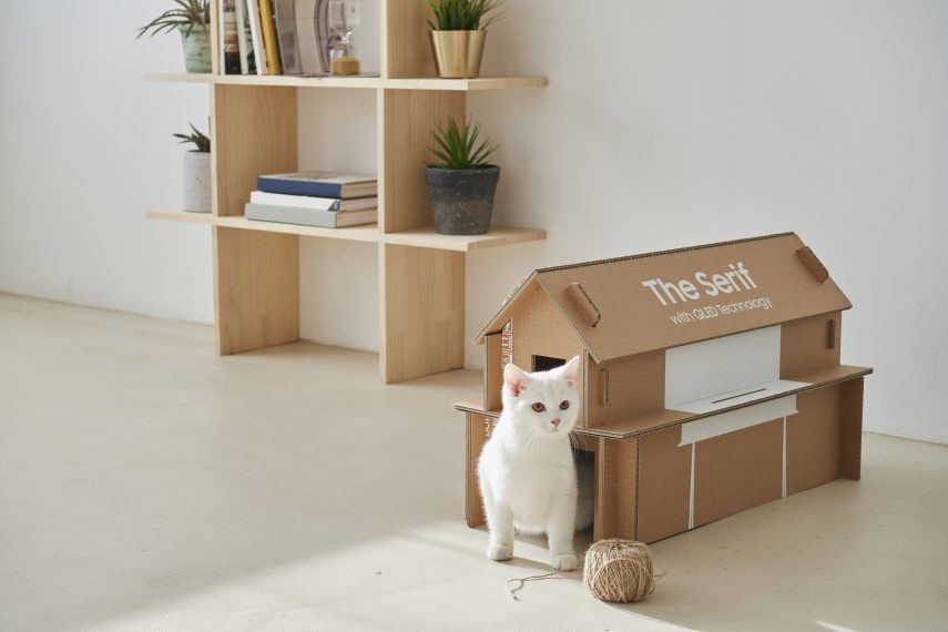 Marca aposta em caixas reutilizáveis que poderão ser transformadas em itens como casa de gato e porta revista 