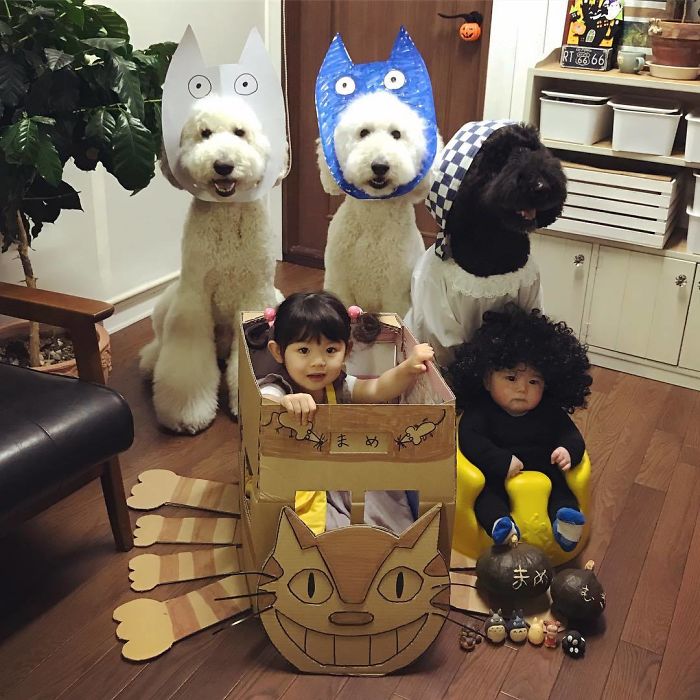 Os irmãos Mame, de três anos, e Mugi, de um, criaram um laço fofíssimo com os cães da avó, que chegam a ser maiores do que eles. Esta família virou uma sensação no Instagram