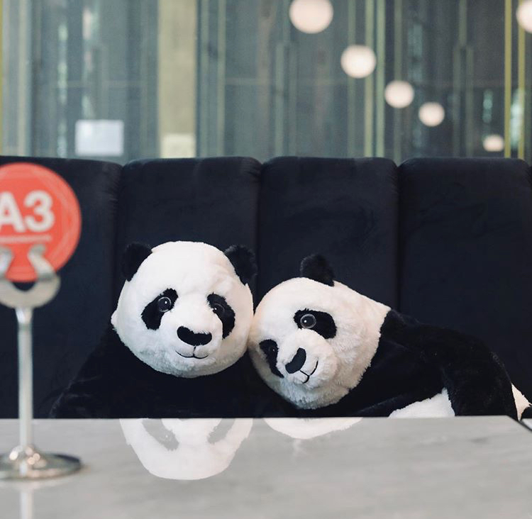 Na Tailândia, o restaurante Maison Saigon distribuiu pandas de pelúcia por suas mesas para reforçar o distanciamento social e deixar as refeições menos solitárias