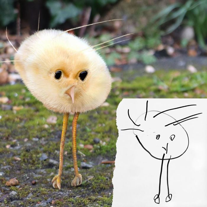 Pai transforma em animais reais desenhos feitos por seus filhos